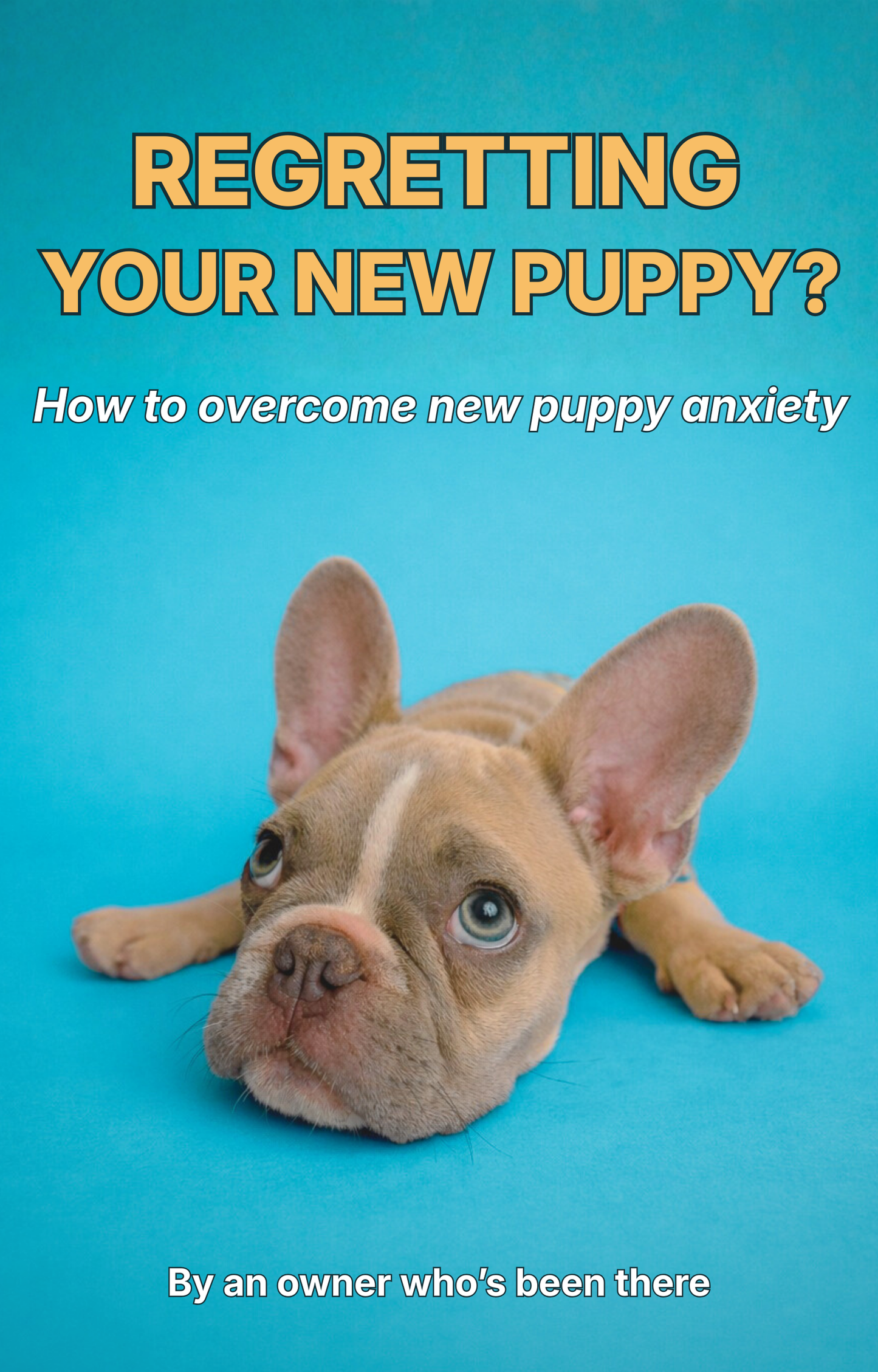 How To Overcome New Puppy Anxiety