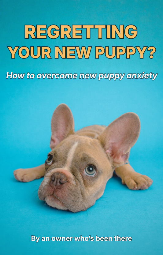 How To Overcome New Puppy Anxiety